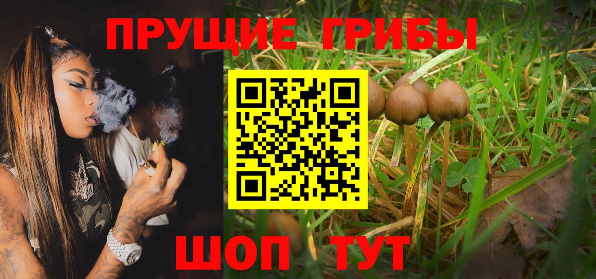 Галлюциногенные грибы мухоморы Углич