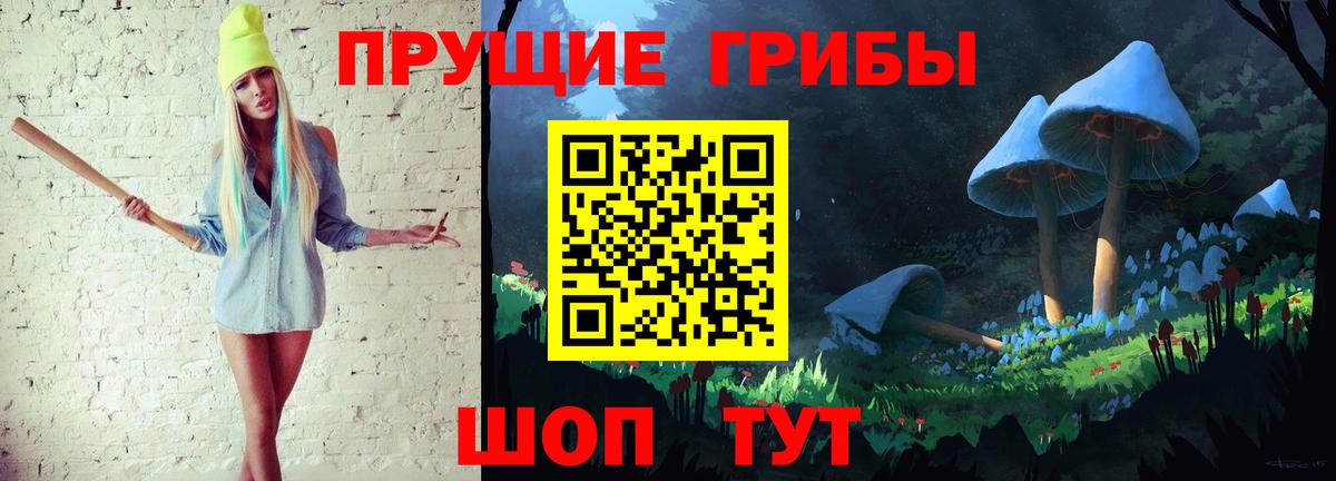 Псилоцибиновые грибы Psilocybine cubensis  Вход с VPN  Углич 